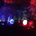 チームラボ広島城光の祭17