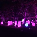チームラボ広島城光の祭21
