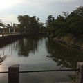 写真: 鶴ヶ岡城跡７　〜堀〜