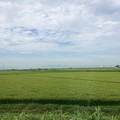 Photos: 庄内平野　車窓風景４