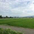 Photos: 庄内平野　車窓風景５