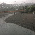 写真: 大井川鐵道本線車窓風景９