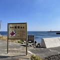 写真: 稲取漁港６