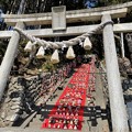 写真: 素盞鳴神社の雛飾り