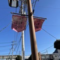 河津桜祭り５