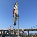 写真: 狩野川河川敷の鯉のぼり11