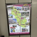 写真: 大宮駅17　〜ニューシャトル７〜