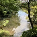 柿田川水源13