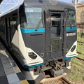 Photos: 三島駅21   〜特急踊り子号停車〜