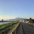2022狩野川堤防から見た富士山