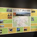 Photos: 鎌倉殿の13人 伊豆の国大河ドラマ館８