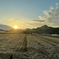 Photos: 江間の米作り３