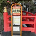 白浜神社12   〜バス停〜