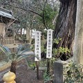 白浜神社14