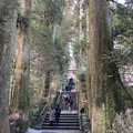 写真: 箱根神社20