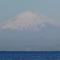 写真: 210228-富士山＠長者ヶ崎 (14)