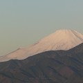 写真: 210303-富士山 (1)