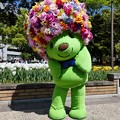 写真: 210409-ガーデンベアグリーティング＠横浜公園 (104)