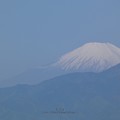 写真: 210421-富士山 (3)