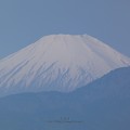 写真: 210421-富士山 (4)