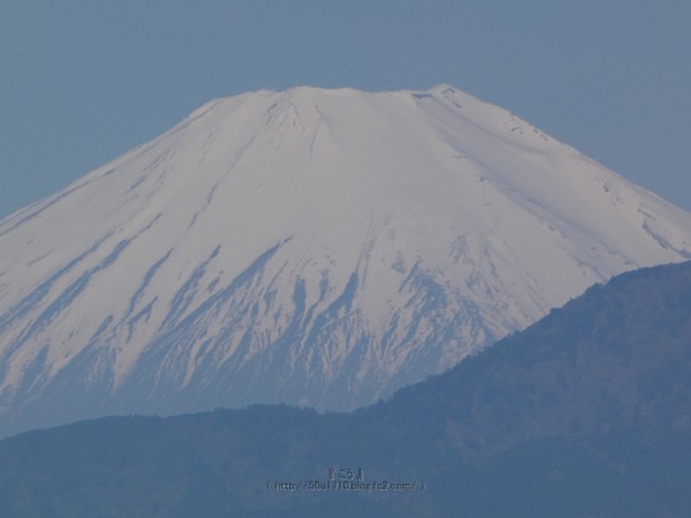 写真: 210422-富士山 (3)