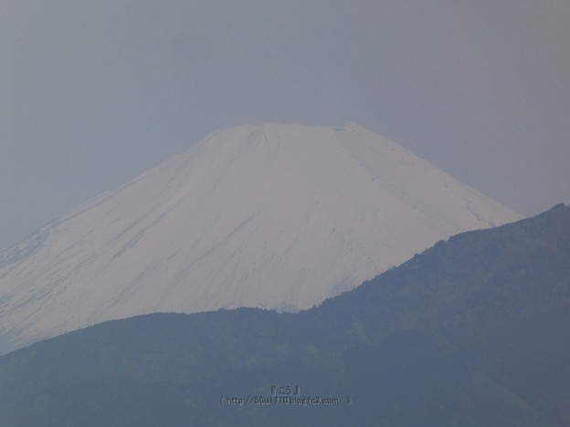 写真: 210504-富士山 (2)