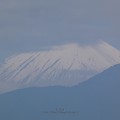 写真: 210506-富士山 (2)