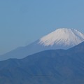 写真: 211115-富士山 (2)