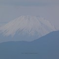 写真: 211118-富士山 (2)