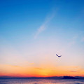 写真: sunset blue