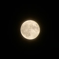 Photos: 今月二度目ましての満月