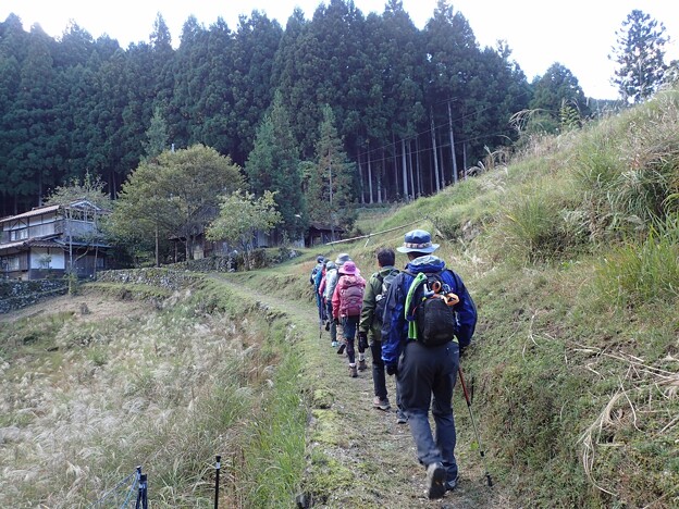 写真: 日本の山 熊野古道・小辺路70km (5)