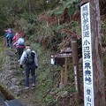 写真: 日本の山 熊野古道・小辺路70km (11)