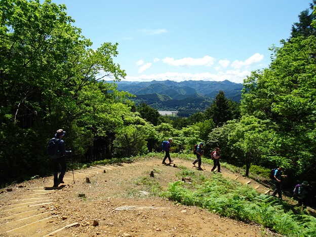 写真: 日本の山 熊野古道・中辺路 (6)