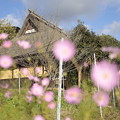 京都・美山かやぶきの里31