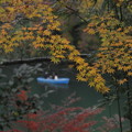 写真: 京都・嵐山11