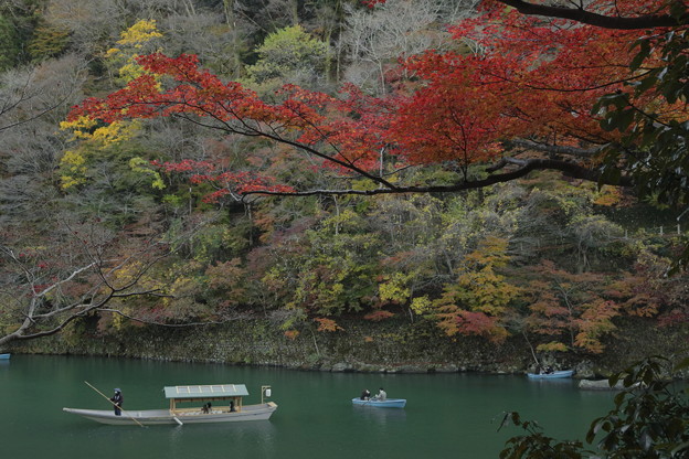 写真: 京都・嵐山06