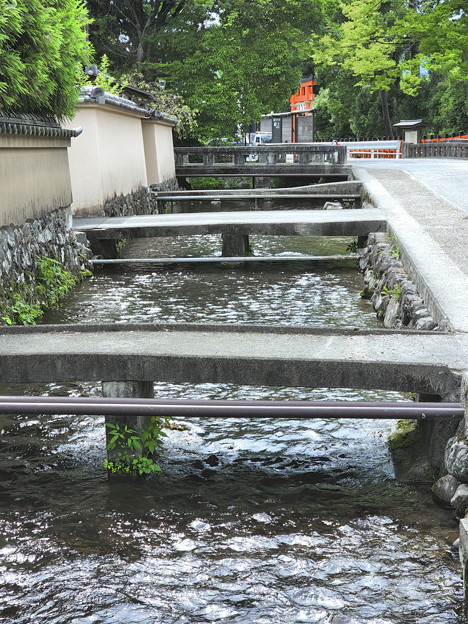 京都・上賀茂神社15