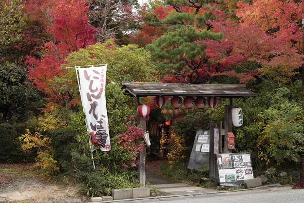 Photos: 京都・南禅寺～嵯峨野16