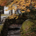 Photos: 京都・南禅寺～嵯峨野10