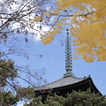 Photos: 奈良・ならまち～興福寺20