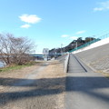 写真: 丸子橋上流