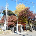 Photos: 八幡神社　4色