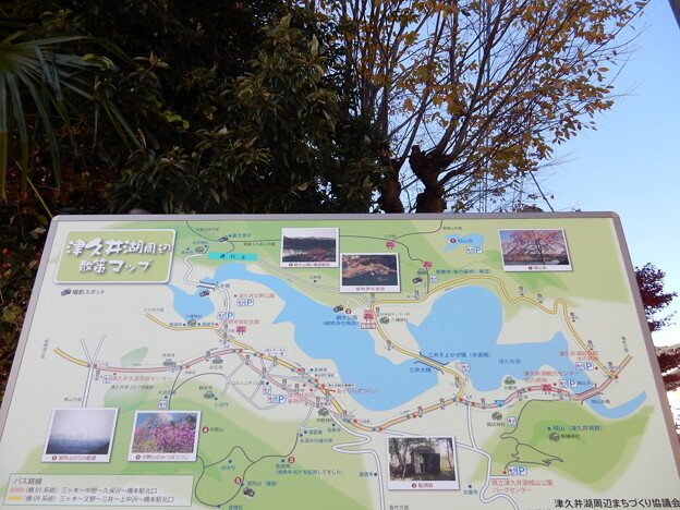 写真: 津久井湖周辺