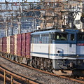 写真: 貨物列車 (EF65 2117)
