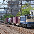 写真: 貨物列車1091ﾚ (EF652091)