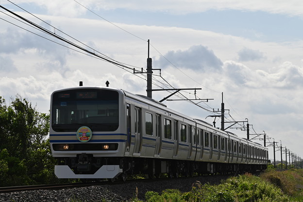 成田線 (我孫子〜成田) 120周年記念列車 838M