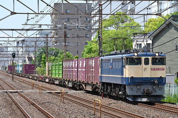 写真: 貨物列車 1091ﾚ (EF652087)
