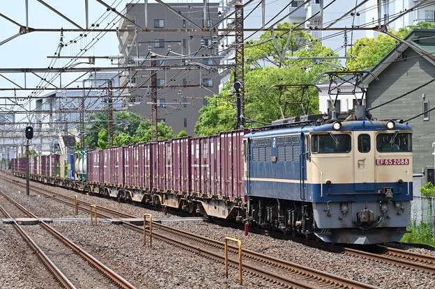貨物列車 1091ﾚ (EF652088)