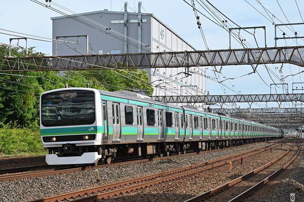 写真: 常磐線 快速列車 (E231系)